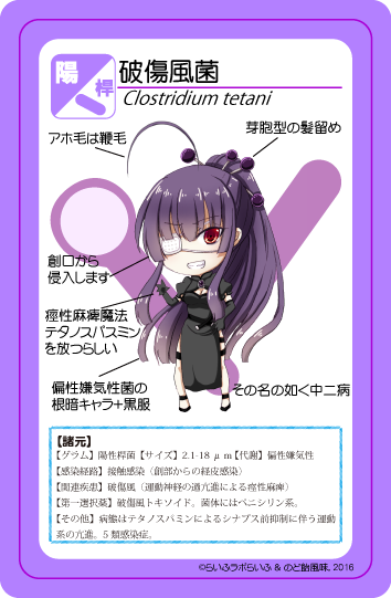 ばくてり 細菌擬人化bot 細菌 破傷風菌さんです 偏性嫌気性のグラム陰性桿菌なので紫髪の根暗お姉さまです 名前も毒素の強力さも中二病的です 芽胞の髪飾りは北里大学の校章にも盛り込まれています 毒素菌なので武器はマジックアローとなってます ばくてり 細菌擬人化bot 細菌 破傷風菌さんです 偏性嫌気性のグラム陰性桿菌なので紫髪の根暗お姉さまです 名前も毒素の強力さも中二病的です 芽胞の髪飾りは北里大学の校章にも盛り込まれています 毒素菌なので武器はマジックアローとなってます