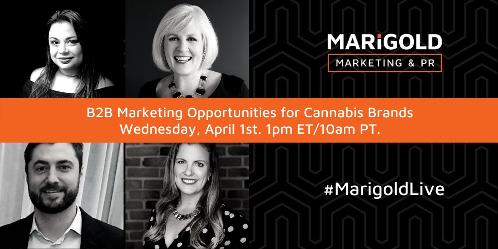 Today on #MarigoldLive <a href="/GrowOpportunity/">Grow Opportunity</a> + <a href="/detonateCA/">Detonate Cannabis</a> join <a href="/MarigoldPR/">Marigold Mktg & PR</a> to discuss paid, owned and earned media opportunities
 buff.ly/343ocs6