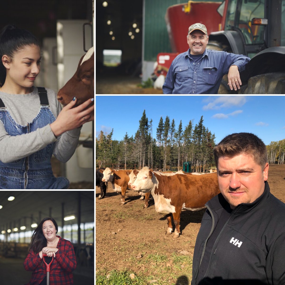 Forestry, Agriculture and Lands tweet media