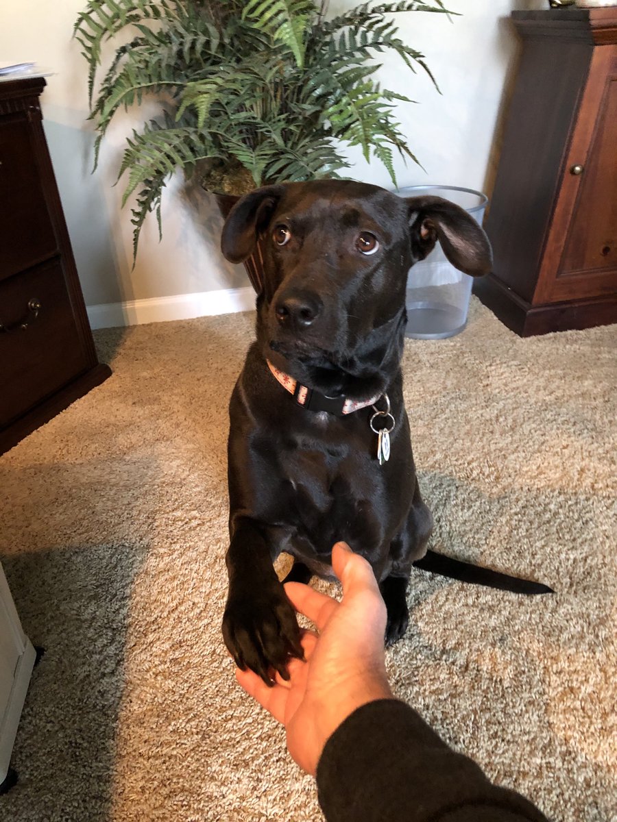 High five from my coworker.