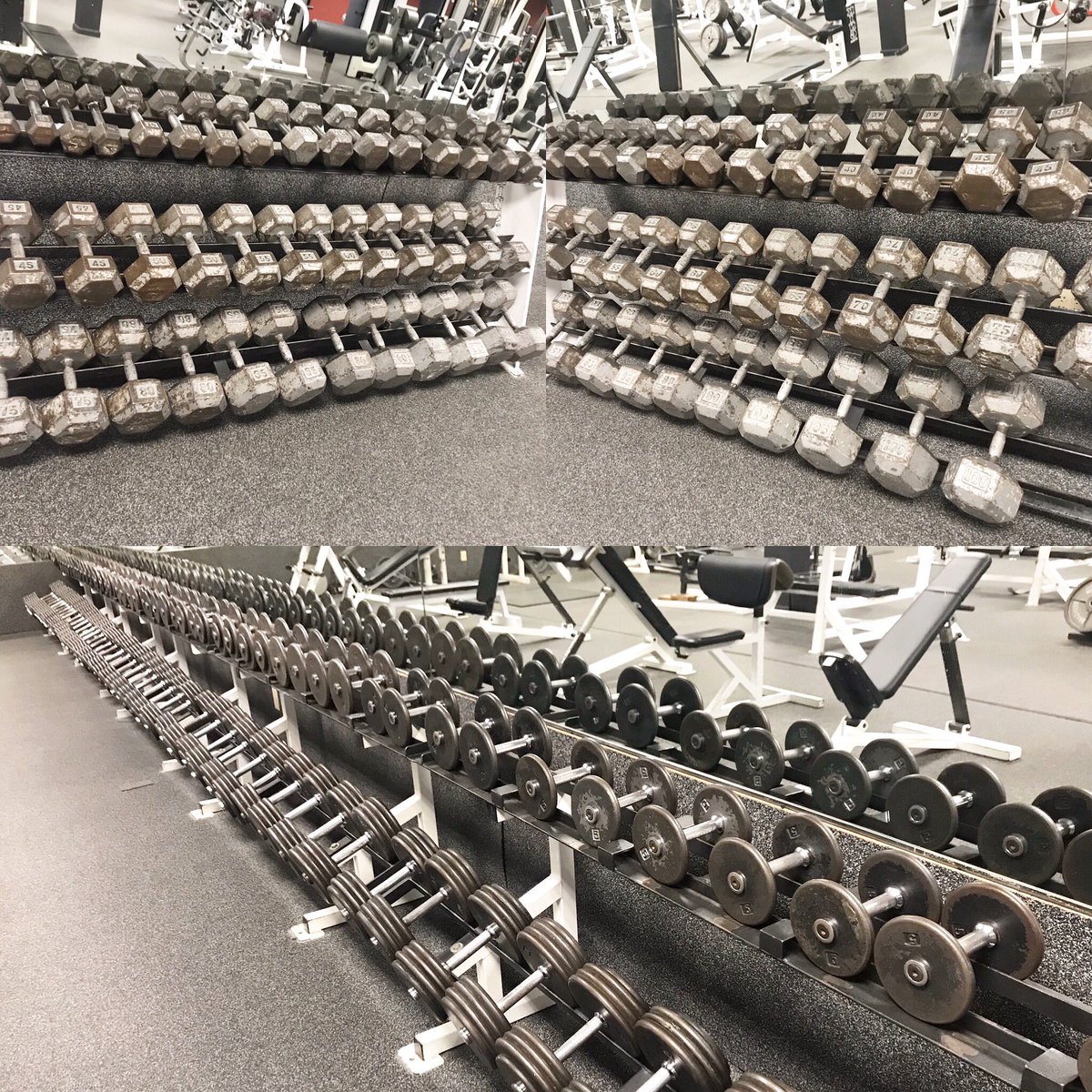 WorldGymPawling's tweet photo. Today’s task was our dumbbells! We de-racked, cleaned, disinfected, and re-racked and they are all in order!! 😎 💪🏼 #worldgympawling #worldgym #pawlingny #dumbbells #lifting #weightroom #inthedungeon https://t.co/2xs1zyS0hv