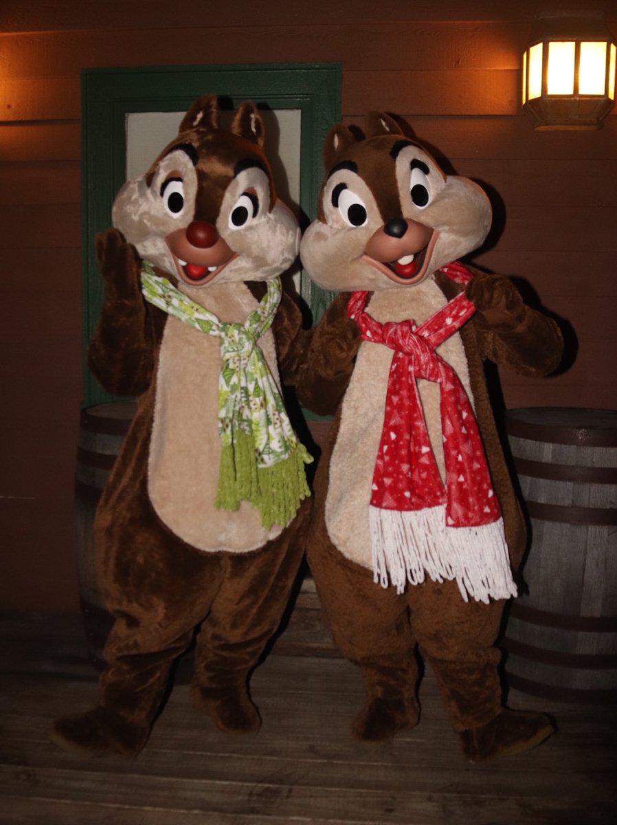 360DegreesofDis's tweet photo. It can get a little chilly out in the frontier! #FortWilderness #ChipnDale #ChipandDale #Chip #Dale #DisneyFrontier #WDW #WaltDisneyWorld #ChipandDalesCampfireSingAlong #チップ #デール #チップとデール https://t.co/vwfQoSe0fs