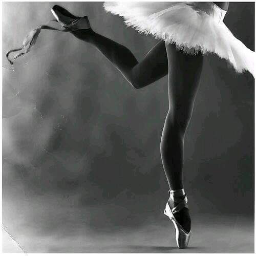 图百合（字静合/号黑水金）/ YL tweet media