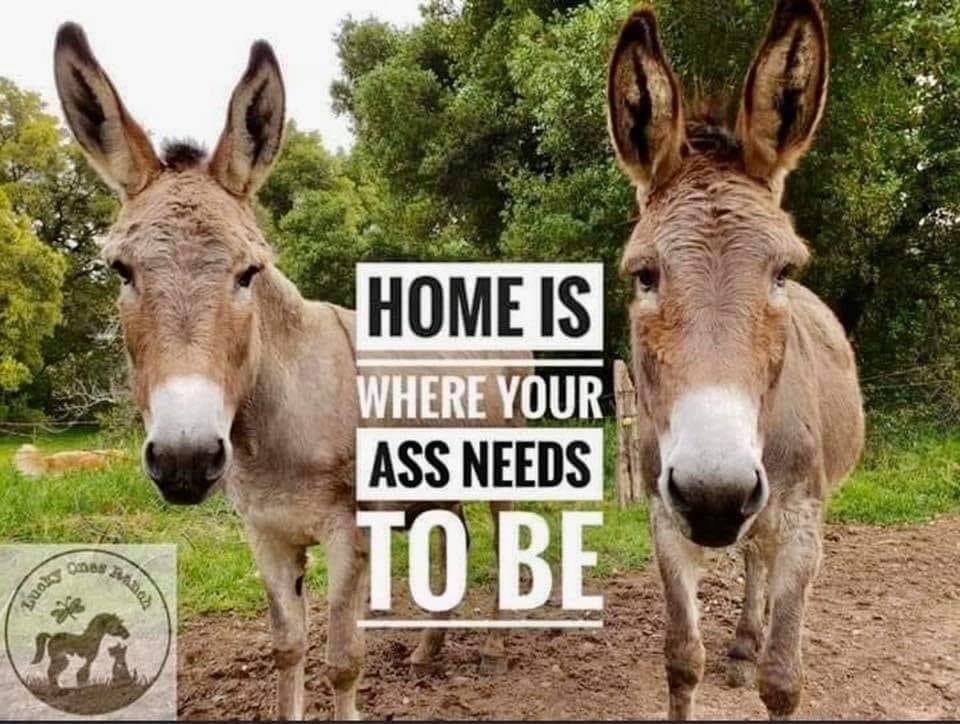 DHUTsBootay's tweet photo. https://t.co/eQxRBlwAeq