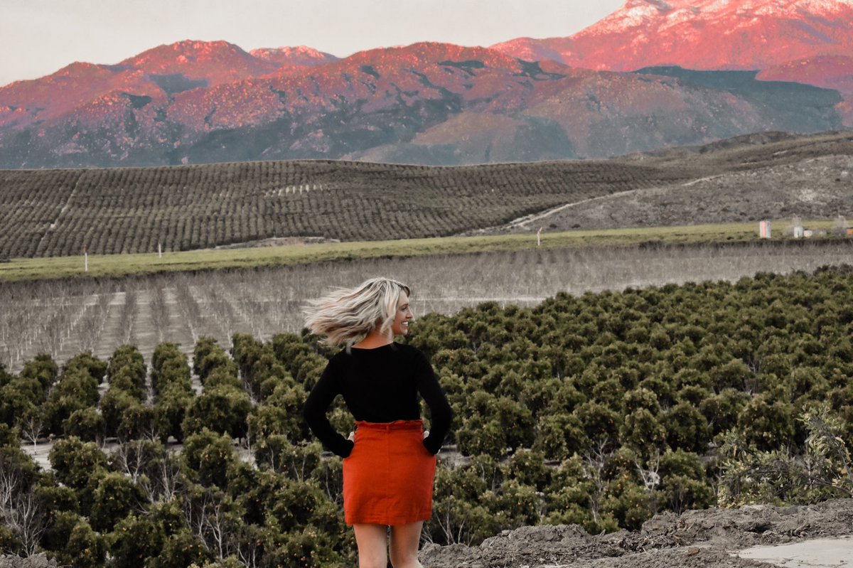 KatelynNordal's tweet image. Vertical growth