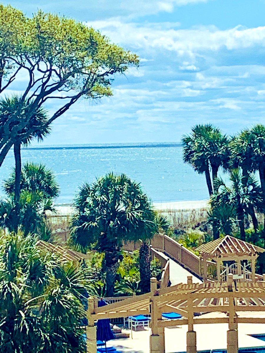 edtech_lynn's tweet photo. When you’re #Oceanfront but still connecting with @AudreySofianos to prepare for @APSMorningside #APSDLDays2020 #PrincipalTalk @ahrosser @APSInstructTech @atlantaeducator @HMBrookins @MrPaul24 @APLeverette #teleworking #SocialDistancing https://t.co/ytKJqwQx8G