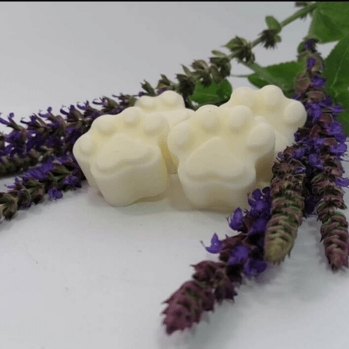 Paws4R's tweet photo. Did you know many high street #waxmelts & #candles are be harmful to your #pets?
@pawfectscents have created wax melts in a paw shape which is safe to burn around pets. They last between 8-10 hours filling your home with a beautiful scent. https://t.co/ifX0HRv9Hb
#petdirectory https://t.co/GWalYRdNNH