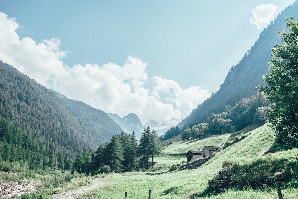 タビワライフ 死ぬまで新婚旅行 Tabiwalife Twitter