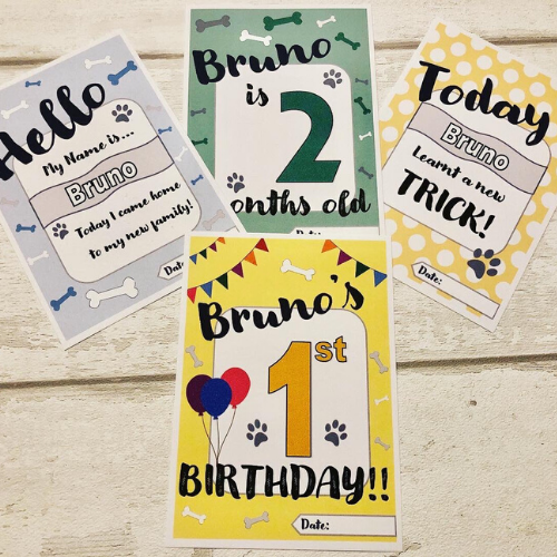 Paws4R's tweet photo. Wanting to hold to the special memories of your dog was it was a puppy
@fenleydesigns offers personalised pet milestone cards to record the special journey of your puppy growing up
https://t.co/0Korz4DckI
#petdirectory https://t.co/S12eQn79A6