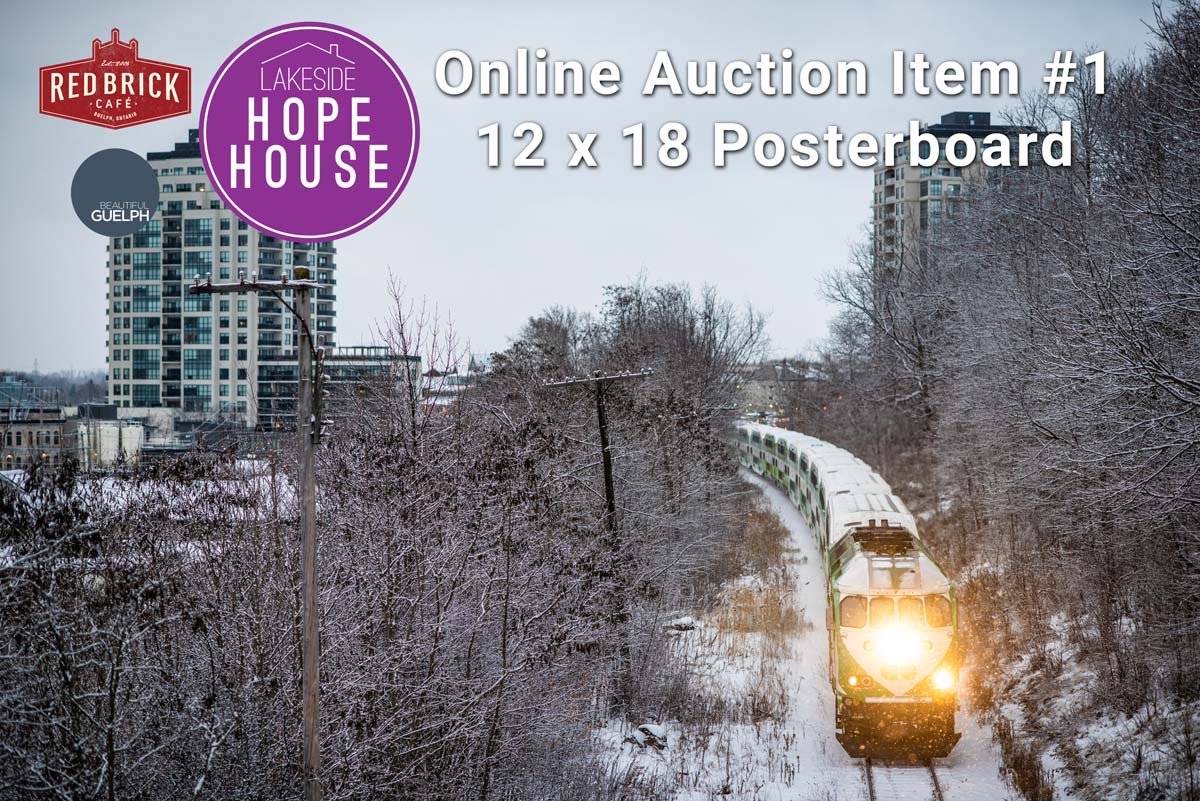bootifulguelph's tweet photo. Head over to our Facebook page to bid on this 12 x 18 posterboard print! 100% of proceeds go to Hope House! https://t.co/gZxcRvh7ED