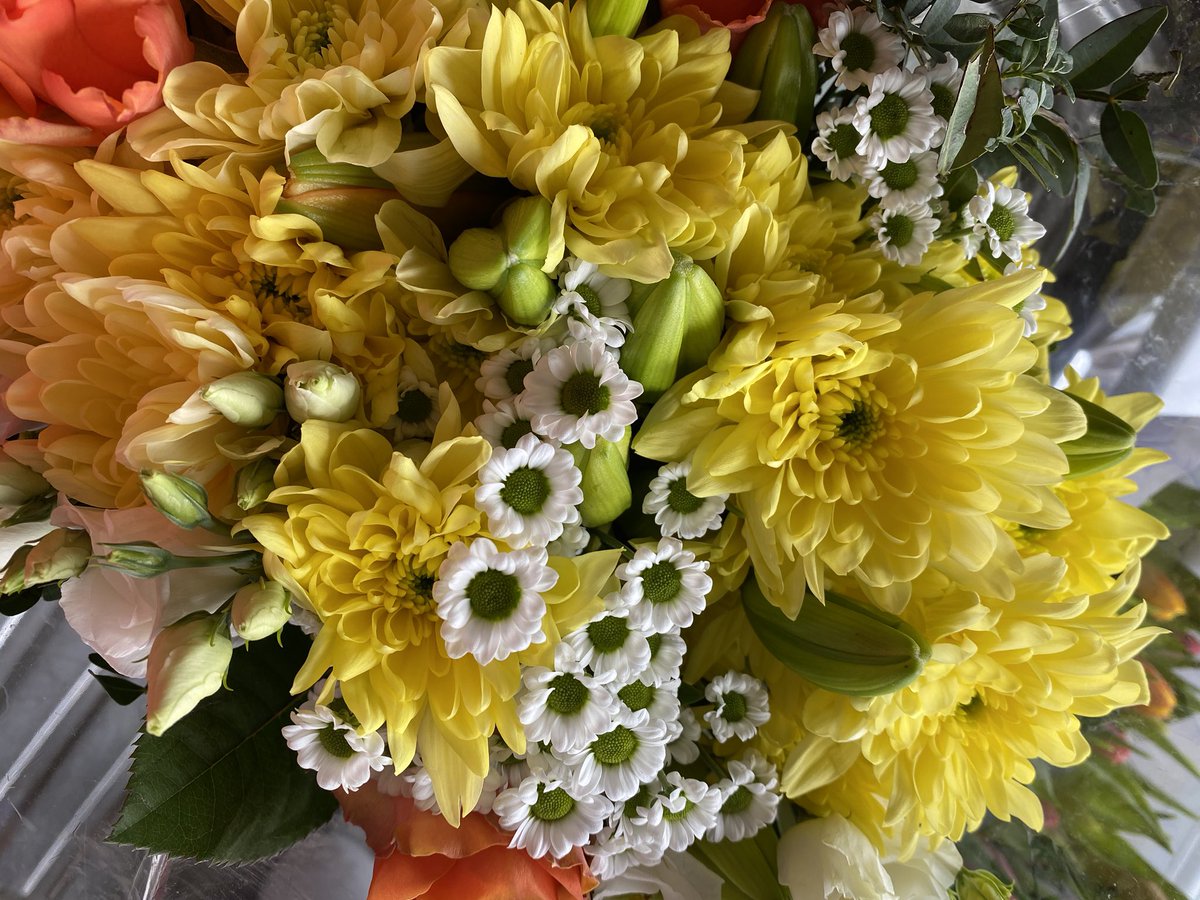 Turning 3️⃣0️⃣ today hasn’t been too bad under the circumstances. Wine later will help it 100% 🍷