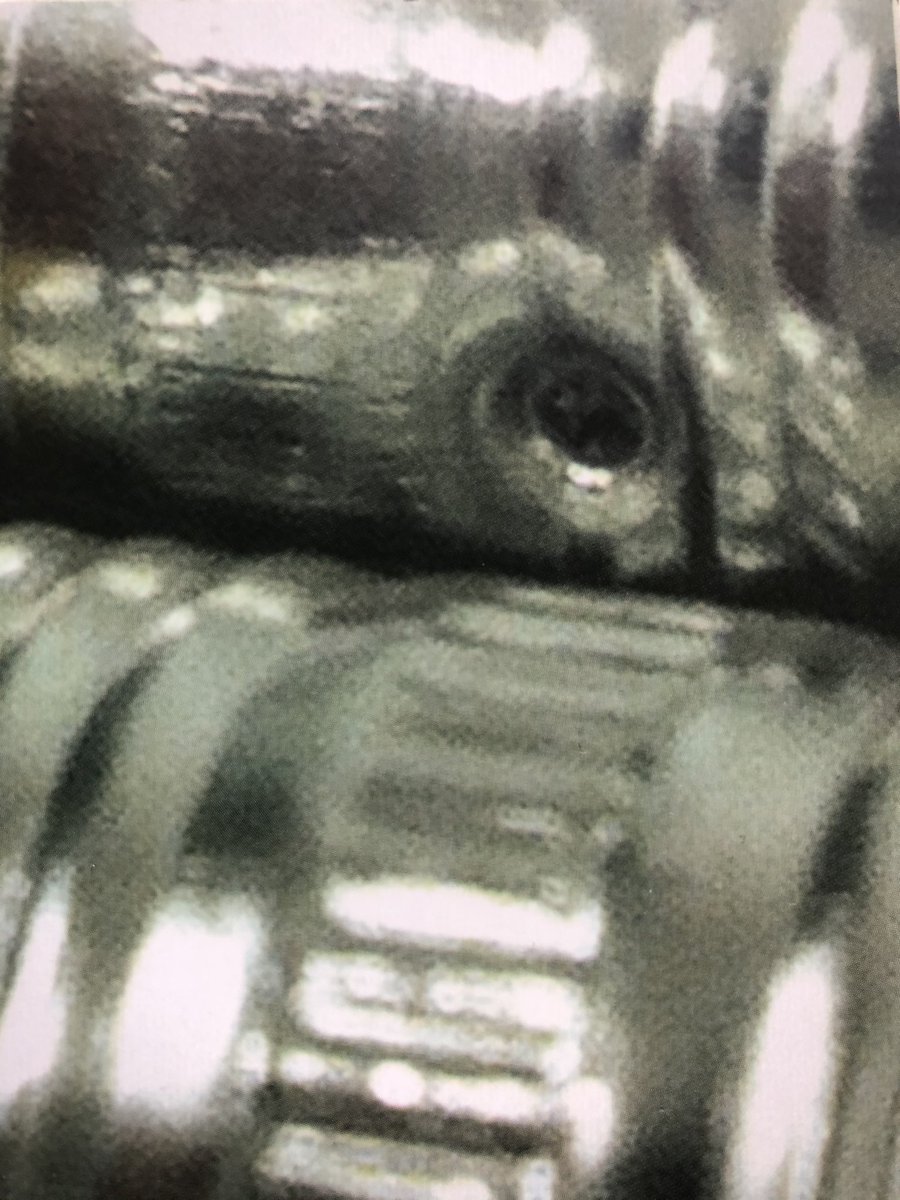 ReeveMiss's tweet image. What do we think this photo is? #closerlook #everydayobject @MissGibson_ML @MrsDougill_ML @mesne_lea