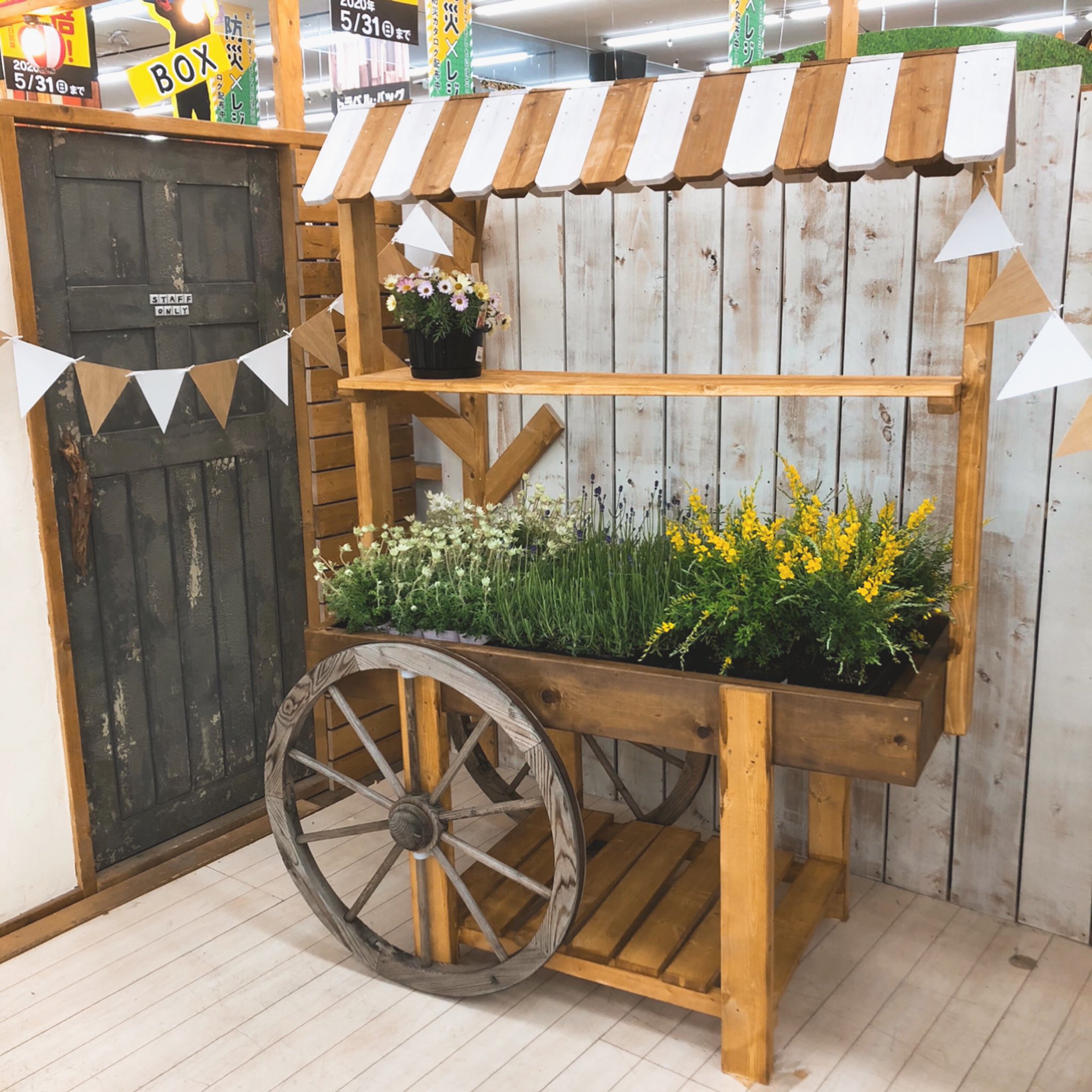 O Xrhsths Diyスタジアム かもんぜきまき Sto Twitter マルシェ風の什器をdiy 苗ケースが3つ入るサイズです Diyスタジアム 暮らしを楽しむ ホームセンター ユニディ ユニディ狛江店 庭 ベランダ 園芸 ガーデン Flowers マルシェ 苗 Diy 狛江 二子