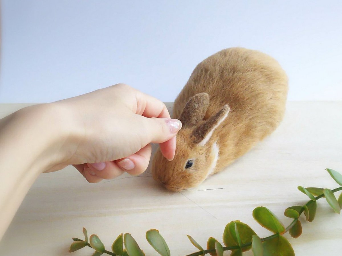 Haruma S Rabbit على تويتر 撫でて うさぎ うさぎ好きさんと繋がりたい ネザーランドドワーフ 羊毛フェルト ハンドメイド Creema ぬいぐるみ 一瞬でもリアルに見えたらrt ペット もふもふ 可愛いと思ったらいいね T Co Xe72crmjzu T