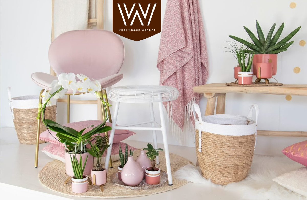 Een hart onder de riem steken voor de tuinbouwsector in deze 'bizarre' tijd. 
Laten we vooral nog even doorgaan met mensen blij te maken met een bloeiende en/of groene plant.