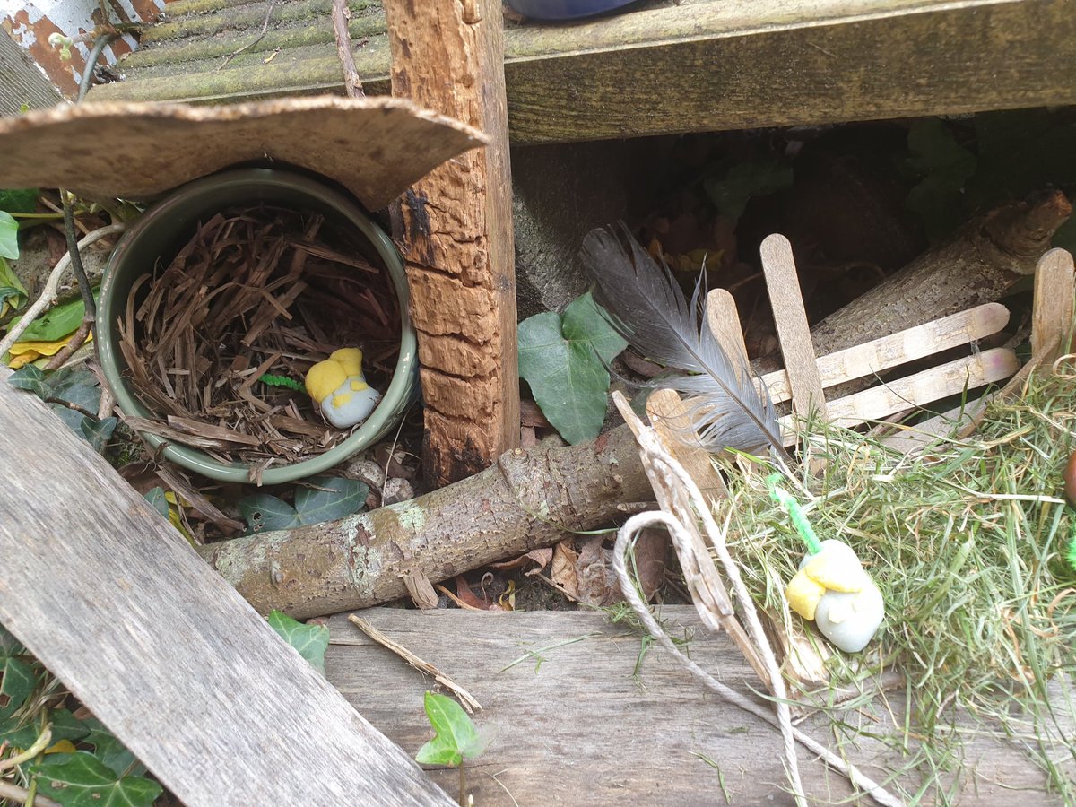 EWaddiBeany's tweet photo. Thanks Mrs Mitchell @SouthBaddesley Harvest mice homes made around the garden this afternoon! #natureclub #natureclubathome #ElmerClass https://t.co/w6q3QYe2r0