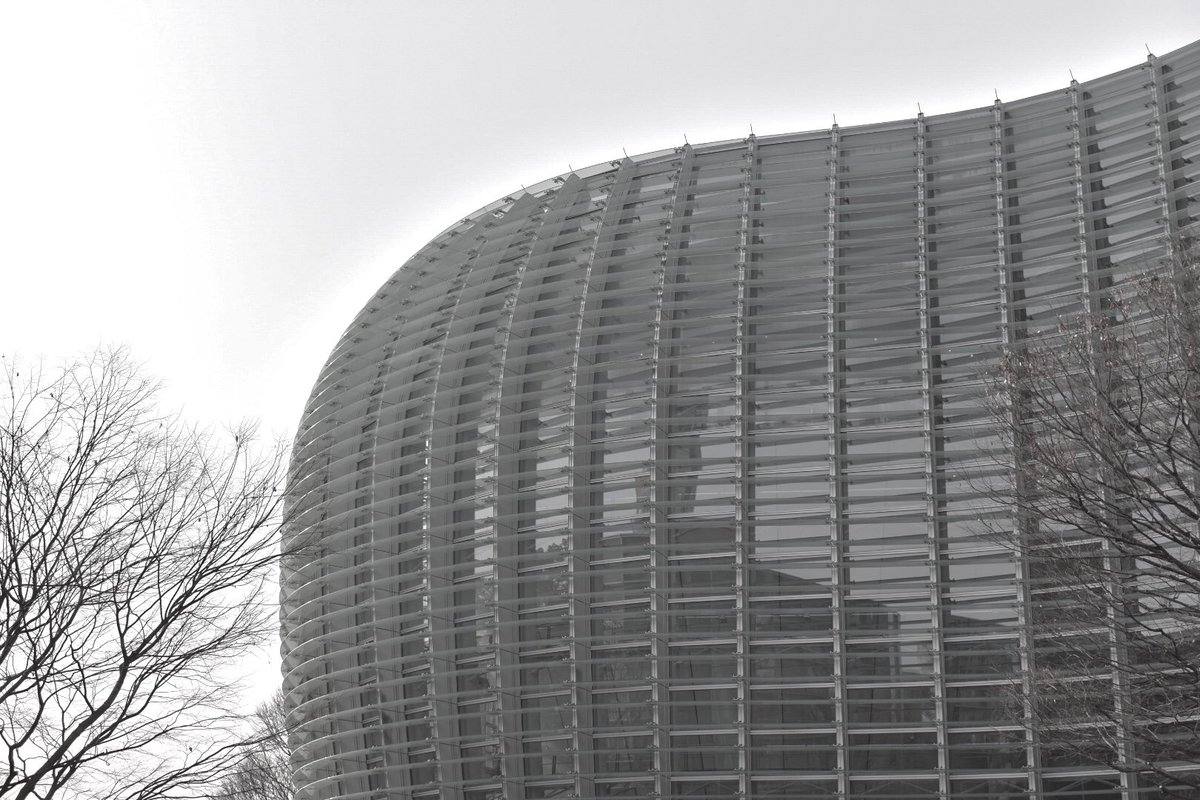 zazavamy's tweet photo. FALSE MEMBRANE
偽りの皮膜

#photograph 
#写真 
#photographer https://t.co/0BPpfbBzy7