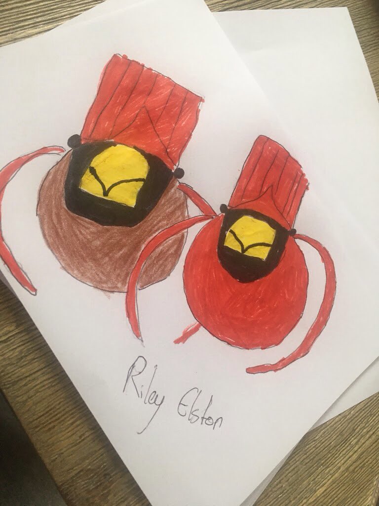 CulchethArt's tweet image. Wow Evenmore year 8 work from Miss Cornish and focused studies of Charlie Harper's Angry Birds 🤓😎🎨🏅😳Well Done James Lucy Summer Riley #WeAreCHS #culchethHS