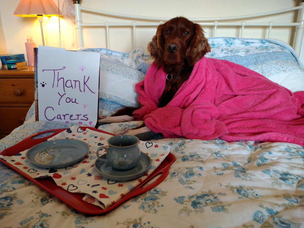 Thank you to all the carers looking after people in their own homes, and in care homes 🥰
#carers #thankyou #redsetter #WednesdayMotivation #staysafe