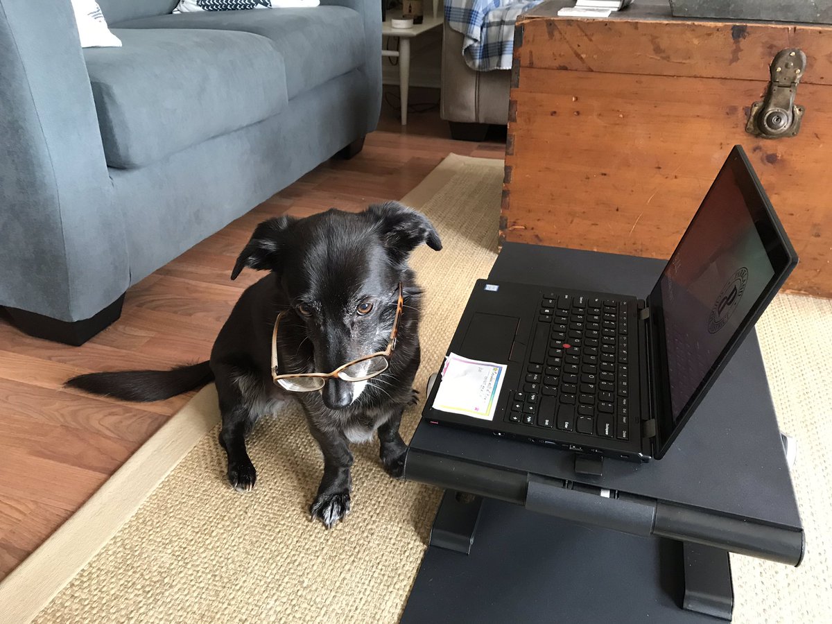 Thank goodness for professor Leah guiding me through all of the new eLearning tools! #FVFoxes