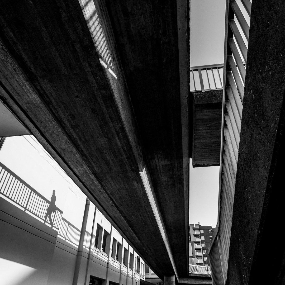 wolcottsworld's tweet photo. #geometry #silhouette #cologne #köln #chorweiler
#bnwphotography #streetphoto_bw #streetphotographer #streetphotography #lensculture #streetphotographerscommunity #SPIcollective #spi_collective #spi_travel #olympus_penf #moment #snap #lines #concrete #43cameras https://t.co/V5OZmBvseB