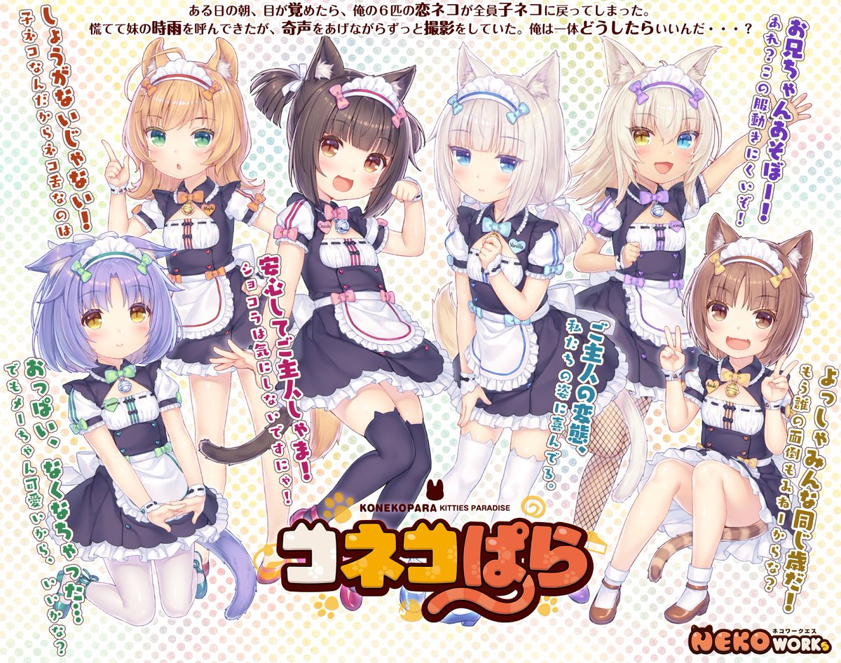Norman בטוויטר 年的愚人節笑話是 這個太好笑了 所以得自肅 T Co Jc7s0azflj Aprilfoolsday エイプリルフール ネコぱら Overflow Typemoon 月姫 月姫リメイク
