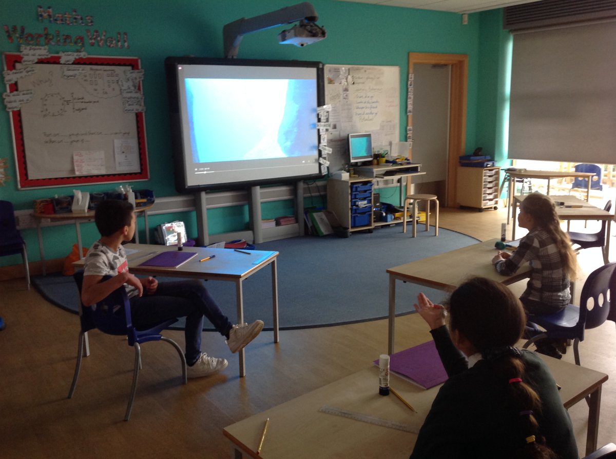 StapleHillPS's tweet photo. #Zootastic As we can't go to the zoo right now, we decided to bring the zoo to us using live webcams. We saw meerkats, cheetahs, tigers and even beluga whales! https://t.co/RXSKBR6wYd