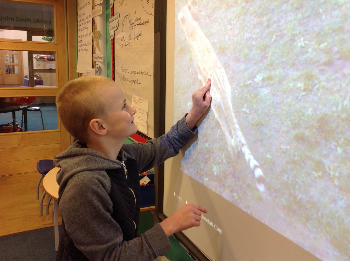 StapleHillPS's tweet photo. #Zootastic As we can't go to the zoo right now, we decided to bring the zoo to us using live webcams. We saw meerkats, cheetahs, tigers and even beluga whales! https://t.co/RXSKBR6wYd