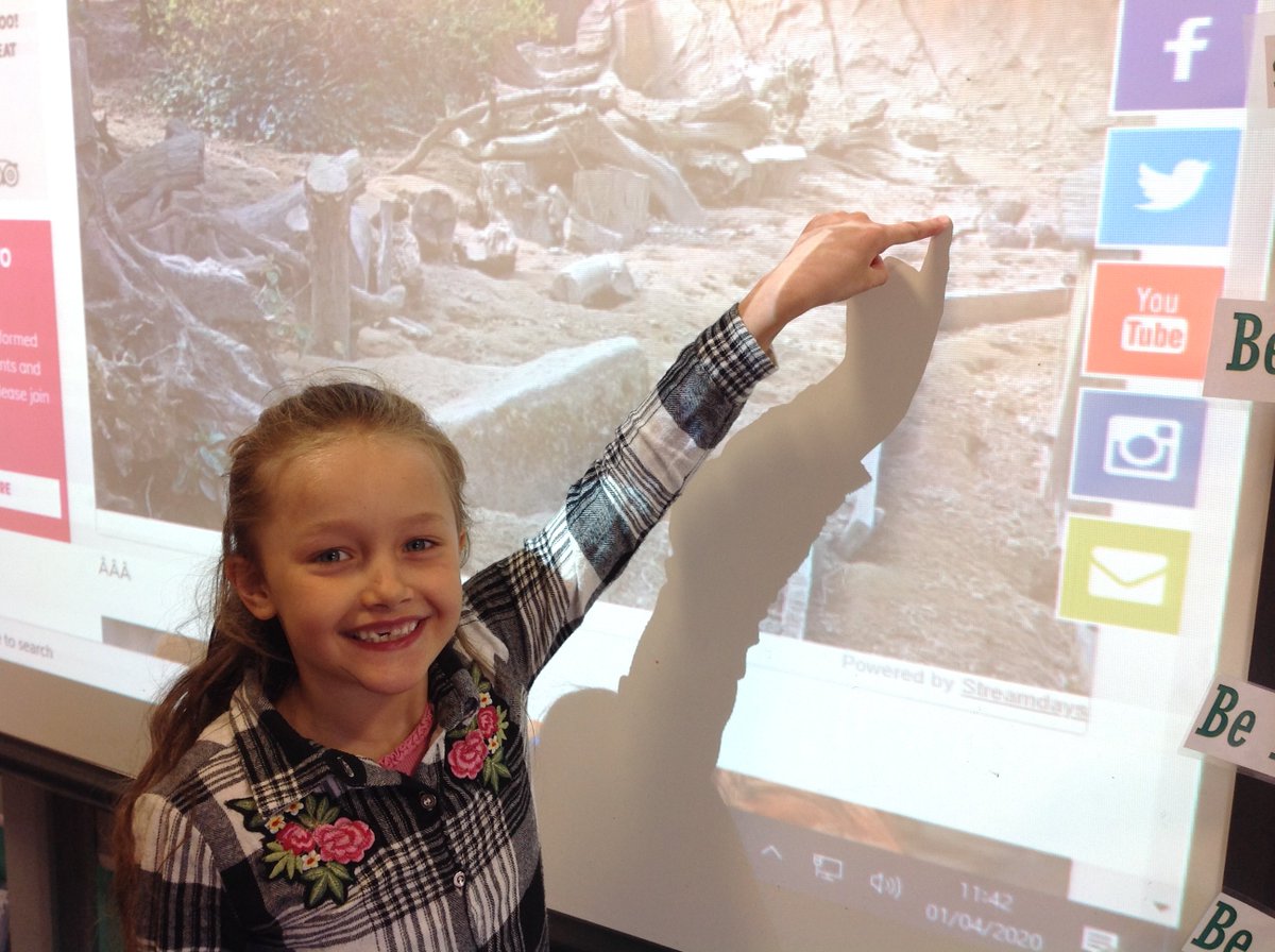 StapleHillPS's tweet photo. #Zootastic As we can't go to the zoo right now, we decided to bring the zoo to us using live webcams. We saw meerkats, cheetahs, tigers and even beluga whales! https://t.co/RXSKBR6wYd