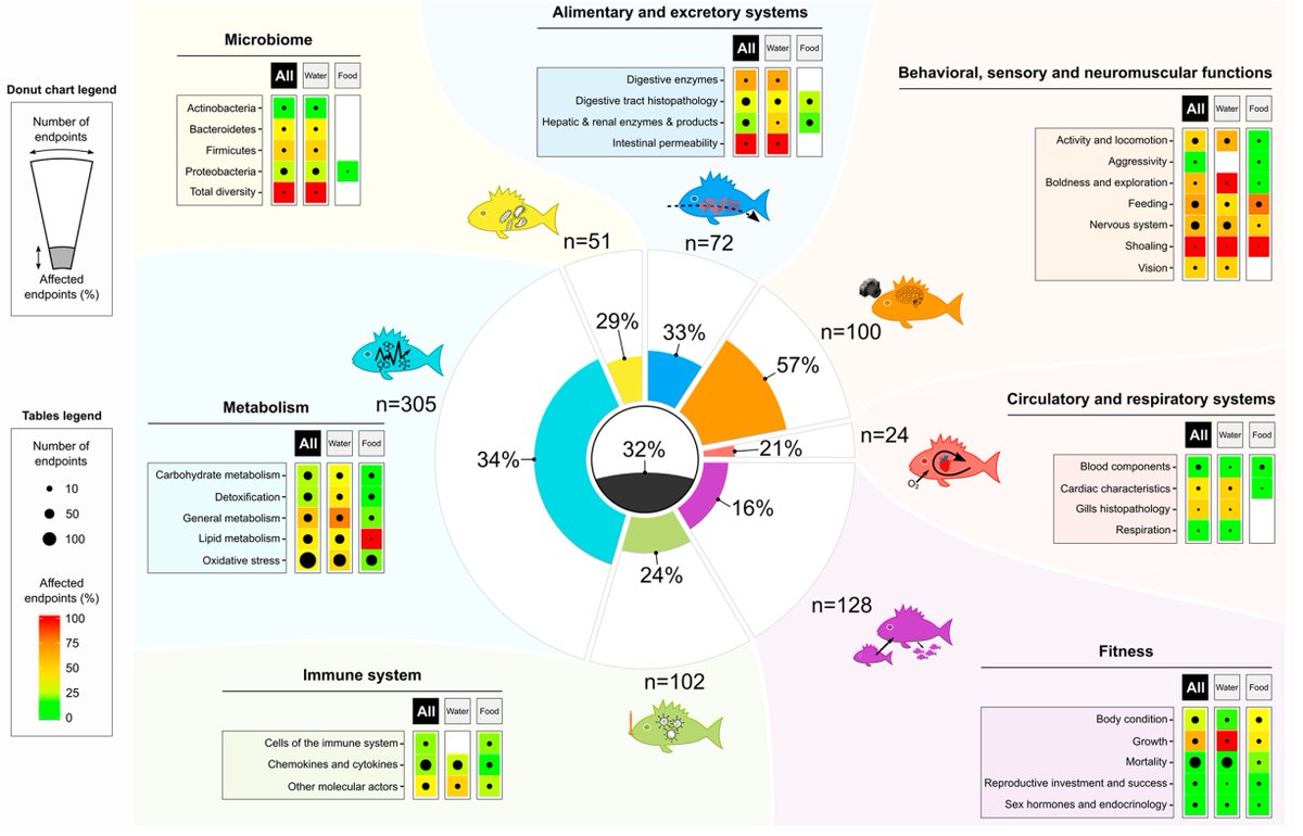 bessonmarc's tweet photo. Interested in experimental studies on #microplastics and #fish? Here's our review on the effects of MP/NP on different fish biological functions in @EnvSciTech: https://t.co/kvHTbSawzy #fishsci #plasticpollution #science @IAEANA @EPHE_PSL @psl_univ @criobe_pf https://t.co/N7pF0ILvDE