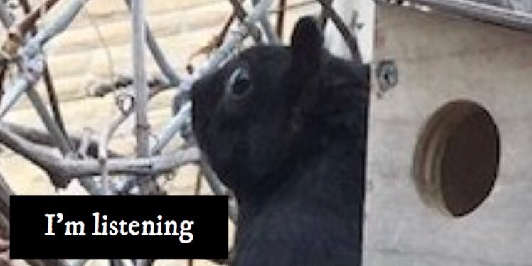 @lana_stewart <a href="/lucyleid/">Lucy Small</a>