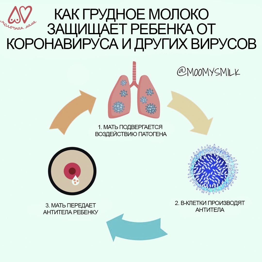 кормящая мама герпес на груди фото 63