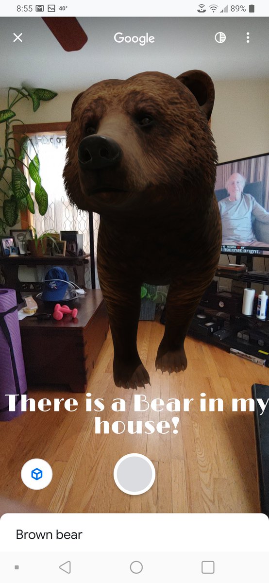 MannLibrary's tweet photo. It's a bear in my house! Thanks @WGNMorningNews .  1st grade try this for your animal project on a cell phone. Google-augmented reality animals. Ask you parents! #WeAred97, #mannschool  #libraries97, #WeareOakPark https://t.co/d38LqQ0J3t