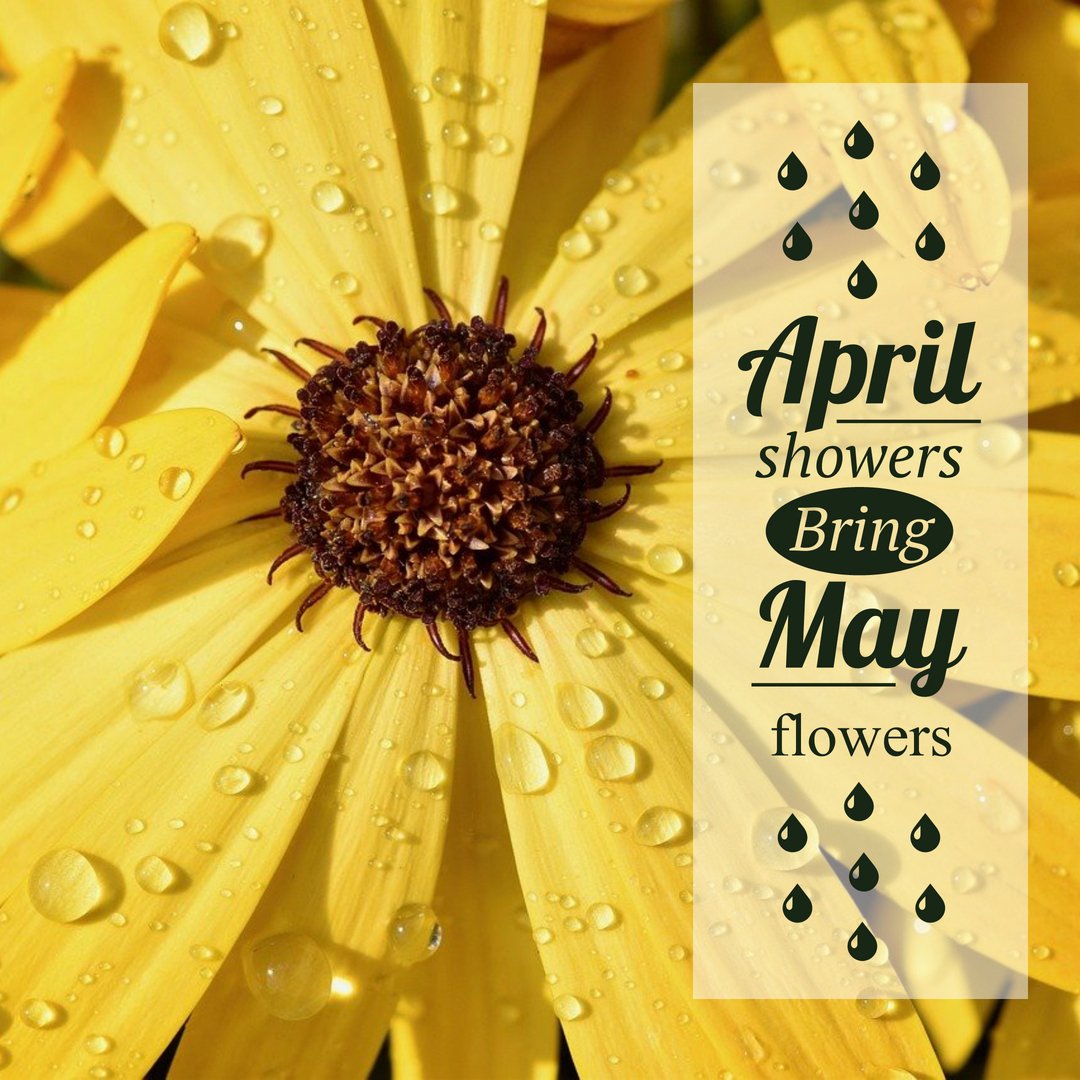 Hello April! ☔