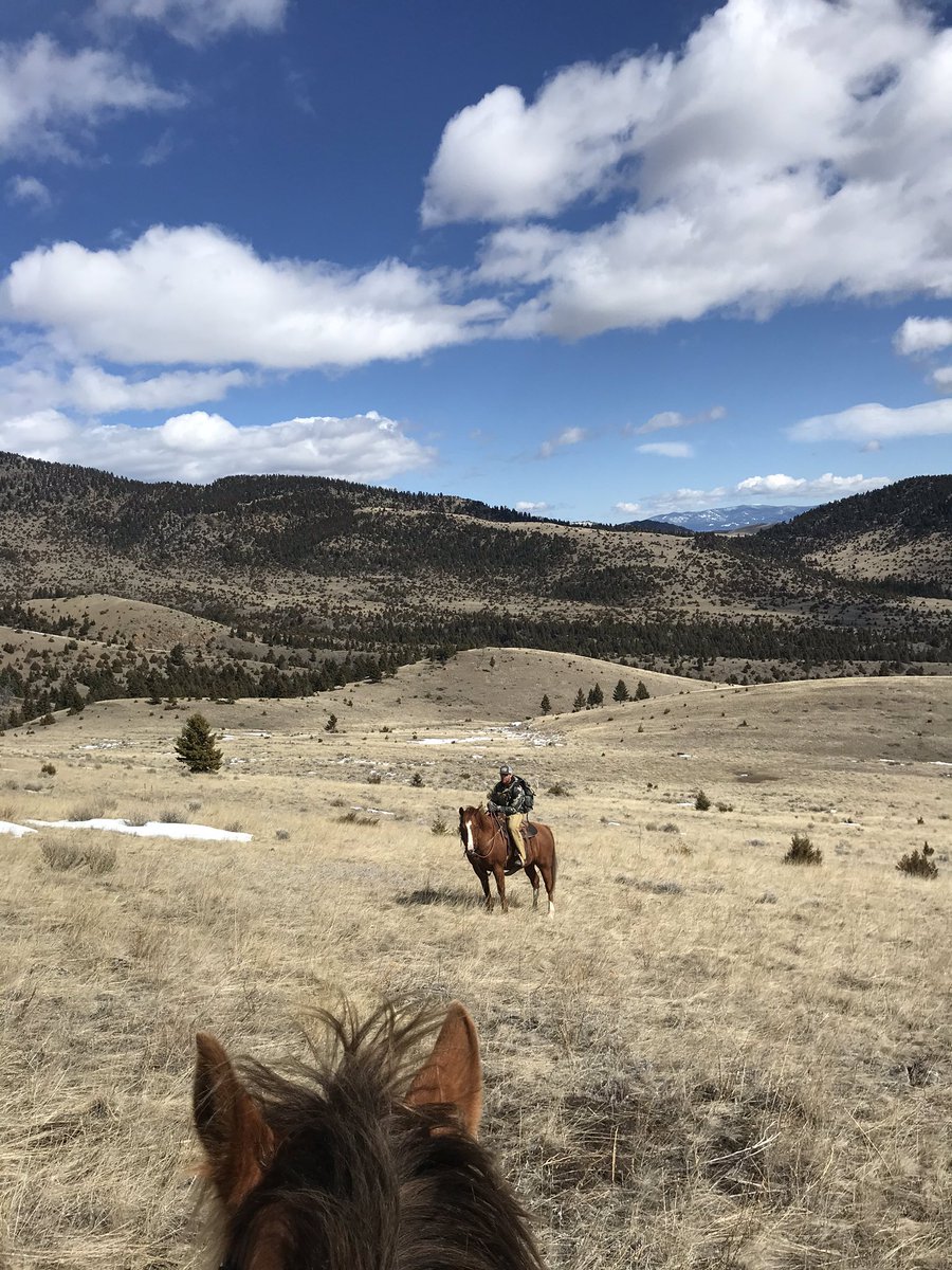 _cassi_jo_'s tweet image. #QuaratineLife in #Montana.... it’s terrible. 😜😉