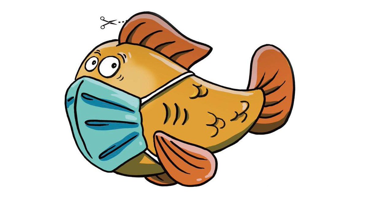 Stéphane Debeil tweet media