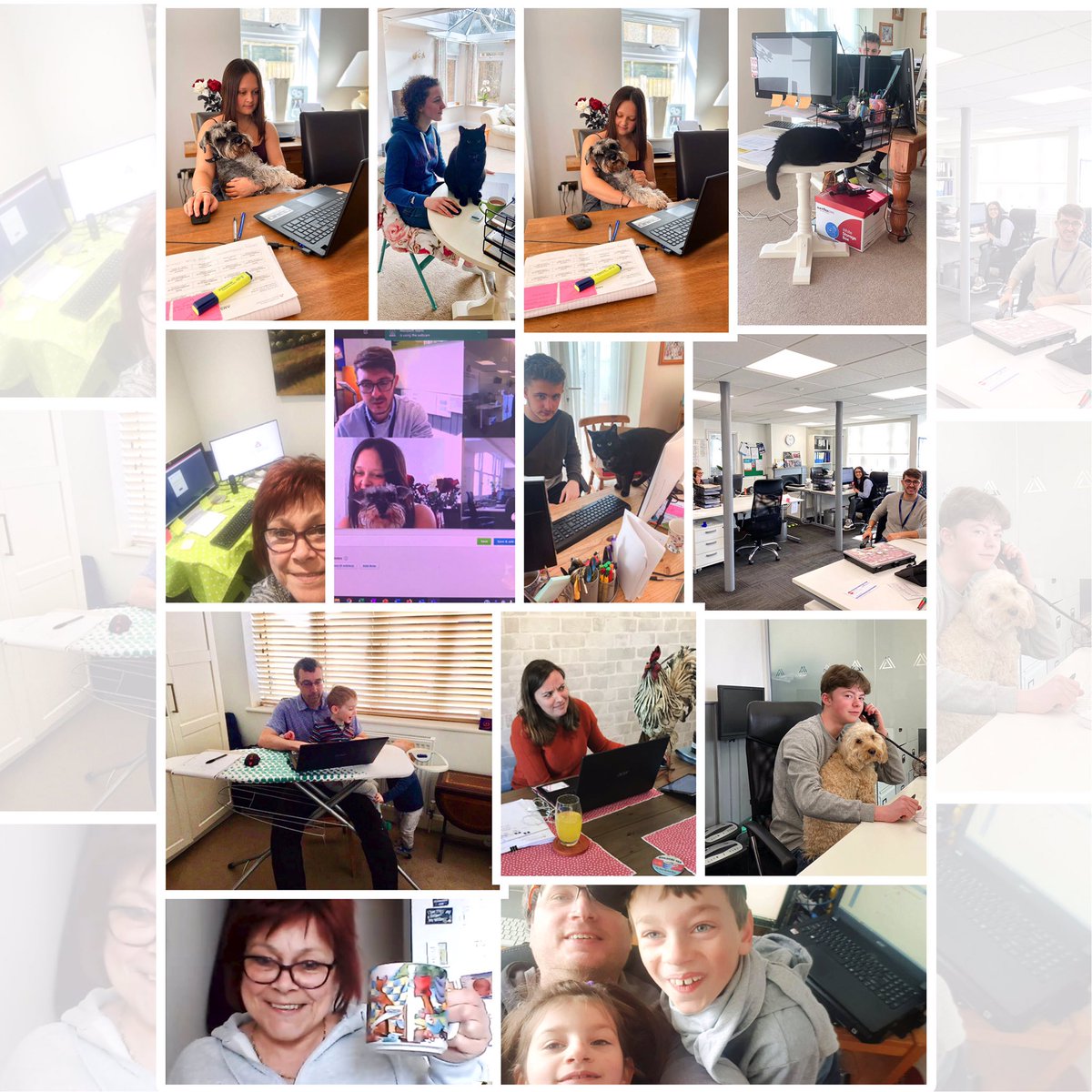 AMsurveying's tweet photo. Working from home! Our team is staying connected while isolated in our own homes. Keep safe everyone.   #washyourhands #teamworkmakesthedreamwork https://t.co/uklEJF7mTg