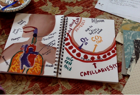 morgancuthbert's tweet photo. More amazing work from my Ss.  This activity had them create a visual of the gas exchange. DL does not stop creativity and hands-on learning! @Milken @MAINETOY @EducateMaine https://t.co/uen4OOof9u