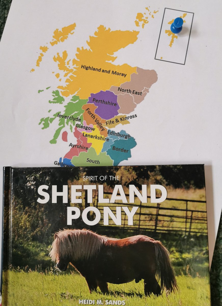 A wee fun cheat for the Shetlands, the small but resilient pony.