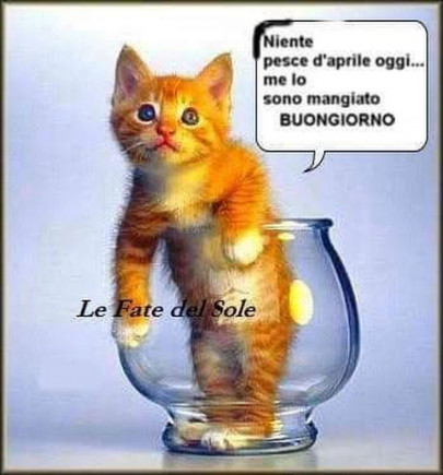 Genny Sono Ancora In Tempo Per Gli Auguri T Co Fusblfzm5k