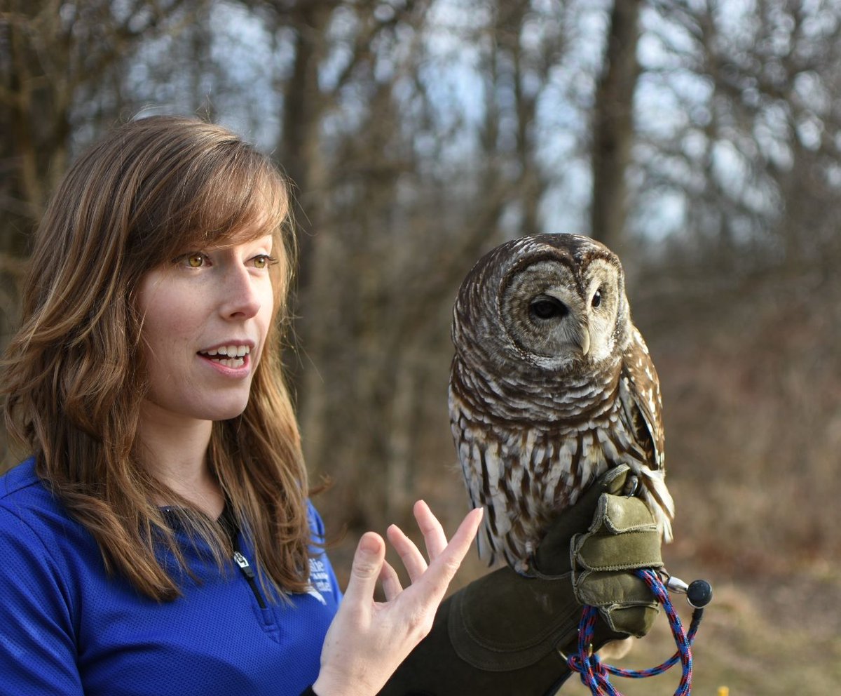 Get up close to owls with an avian expert from Leslie Science and Nature Center (Ann Arbor, Michigan) uses live birds to compare and contrast the characteristics of different owl species. Book <a href="/aahom/">AA Hands-On Museum</a> program: Owls From the Inside Out today! bit.ly/39wg83U #STEMeducation