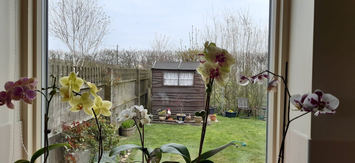ChrisPage90's tweet photo. Much cloudier across the region today, hows your #WindowWeather looking today?
@itvanglia
📷 @JayneFishman from Ashill https://t.co/SCxwubO6wH