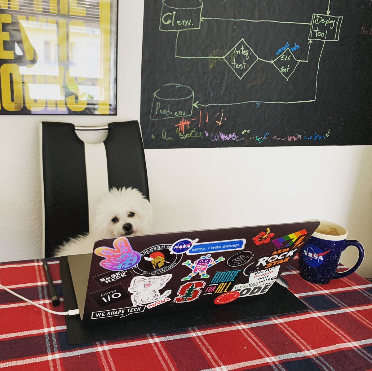 lainiborges's tweet photo. Someone just stolen my place or might she was checking my #code 
#quarantinelife #workingfromhome https://t.co/oEfuju1PGb