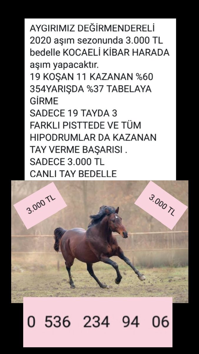 Destek icin paylaşım rica ederim...

Ülke ve CAMİAMIZIN zorda olduğu bu süreçte AYGIRIMIZ DEGIRMENDERELI ücretsiz aşım avantajıyla  KiBaRHaRa Da  kısraklarınızı bekliyor.