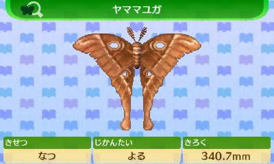 ヤママユガのtwitterイラスト検索結果
