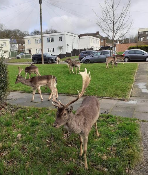 EUhlogJWAAE2Srf?format=png&name=small