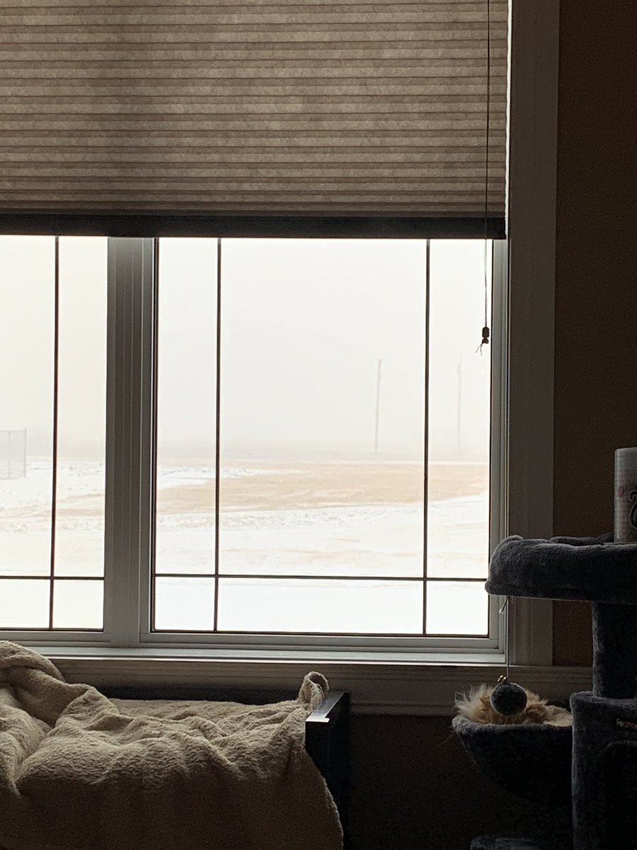 kitkat_kitz's tweet photo. @Devin_Heroux Not too sunny here in Southern Saskatchewan! https://t.co/YUu96FyayP