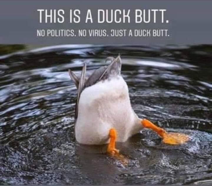 ⚜️⚜️WhoDat Melvin ⚜️⚜️ tweet media