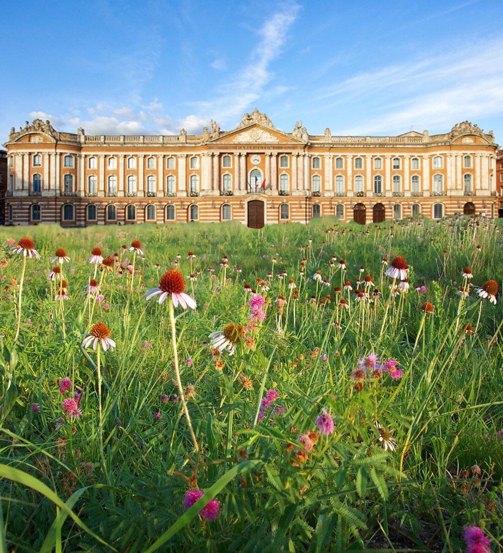 La Place du Capitole après 2 semaines de confinement ... 

Nous sommes le problème.

#confinement #RestezChezVous #Confinementjour17 #Toulouse