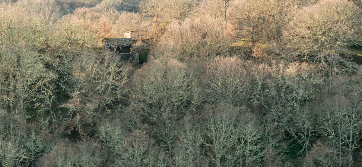 📸📸📸Na seguinte páxina do libreto de #AsCatedraisSilenciadas atopamos esta casa baleira, oculta detrás das árbores, que noutro tempo albergaba  moita vida entre as súas paredes.
